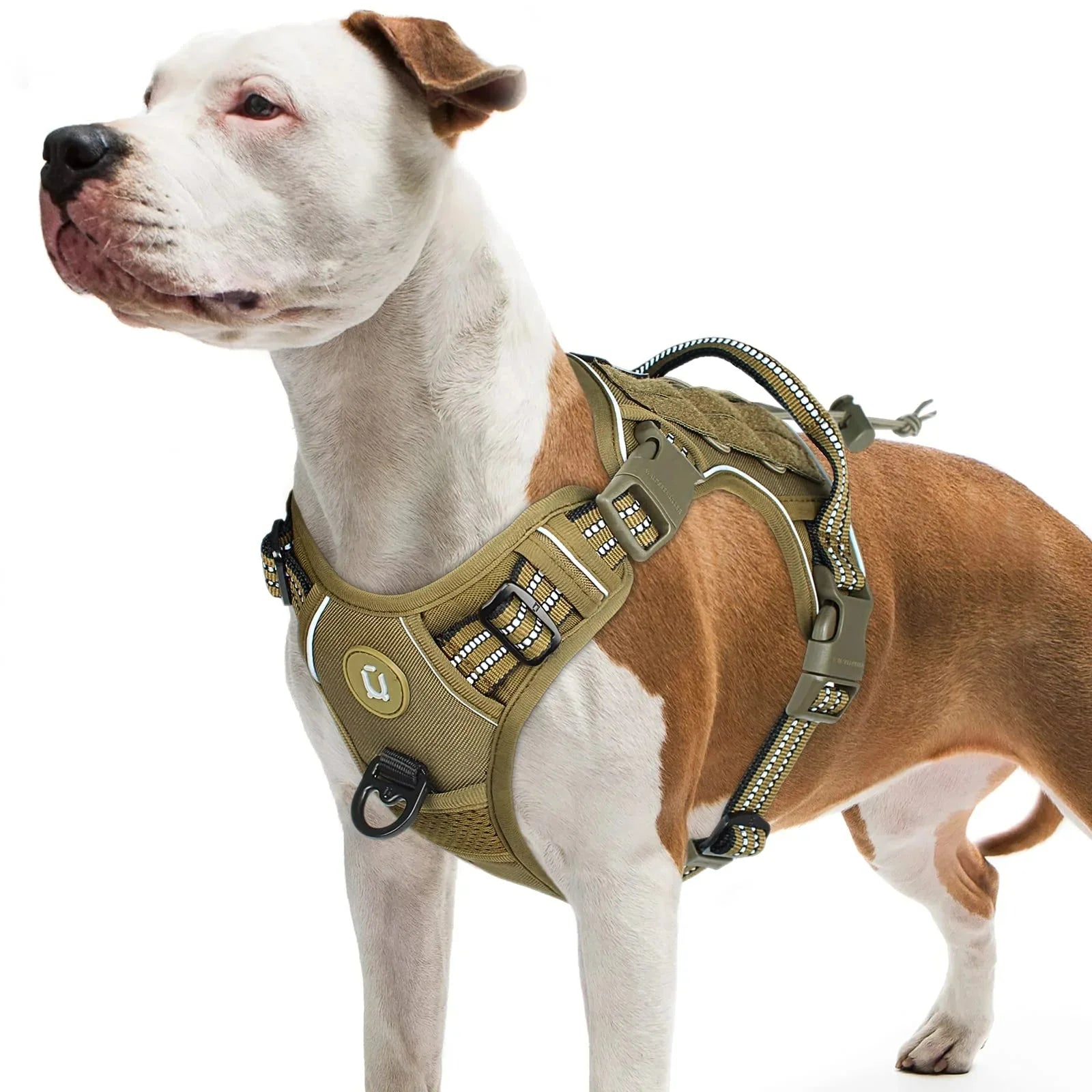 Tactical No-Pull Dog Harness for Medium & Large Dogs