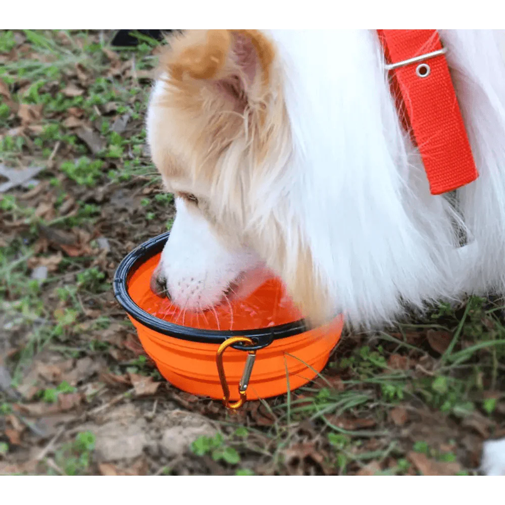 Collapsible Silicone Dog Food Water Bowl
