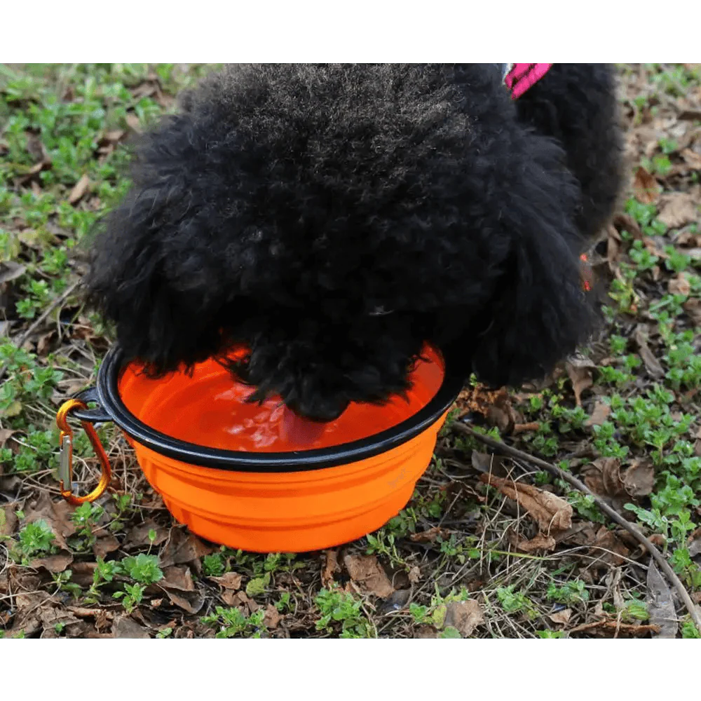 Collapsible Silicone Dog Food Water Bowl